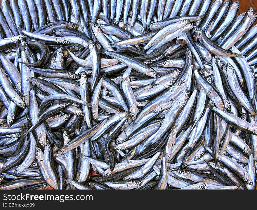 Fresh fish on a stall. Fresh fish on a stall