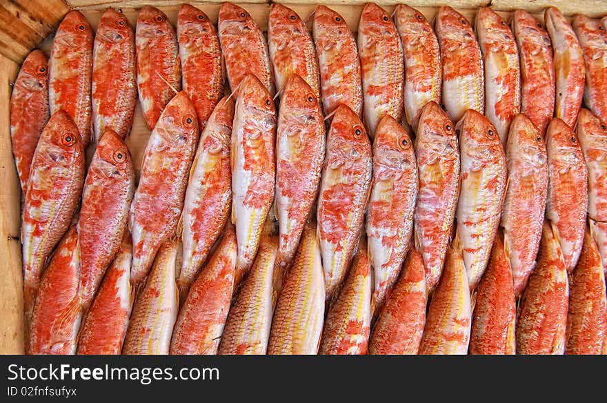 Fresh fish on a stall. Fresh fish on a stall