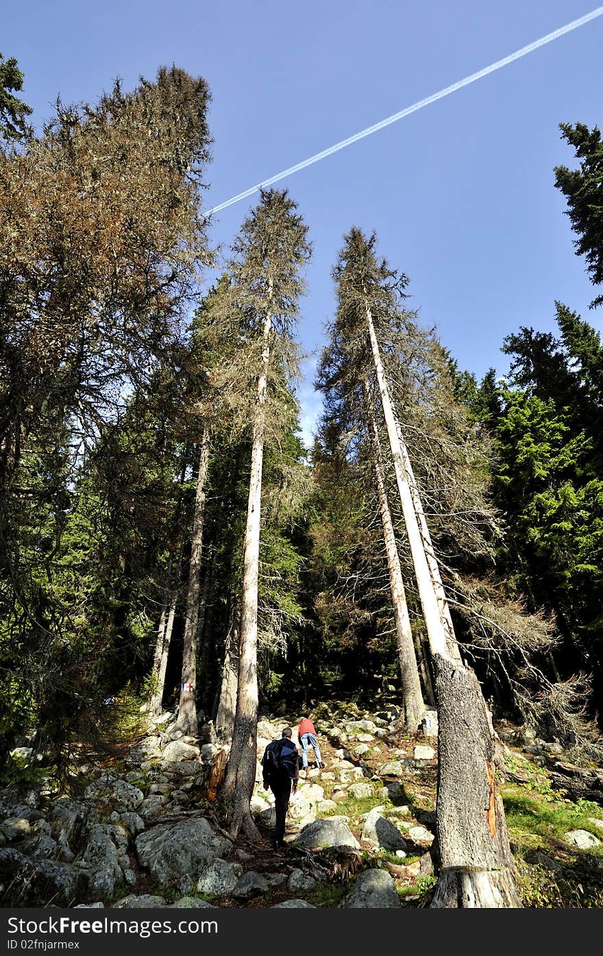 Two hikers on a mountain track with an air plain track on the sky. Two hikers on a mountain track with an air plain track on the sky