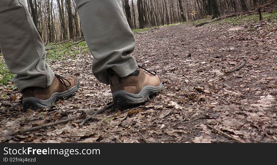 Hiking