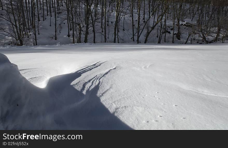 Windtorn landscape on a sunny day, wintertime