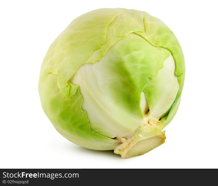 Green cabbage isolated on white background.