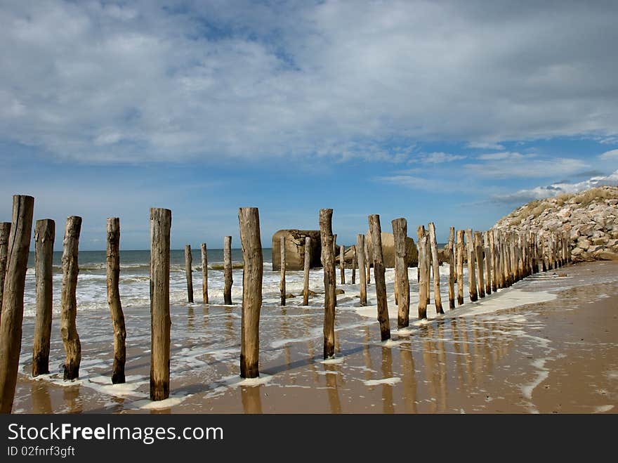 Sticks in the water in a landscape of sea. Sticks in the water in a landscape of sea