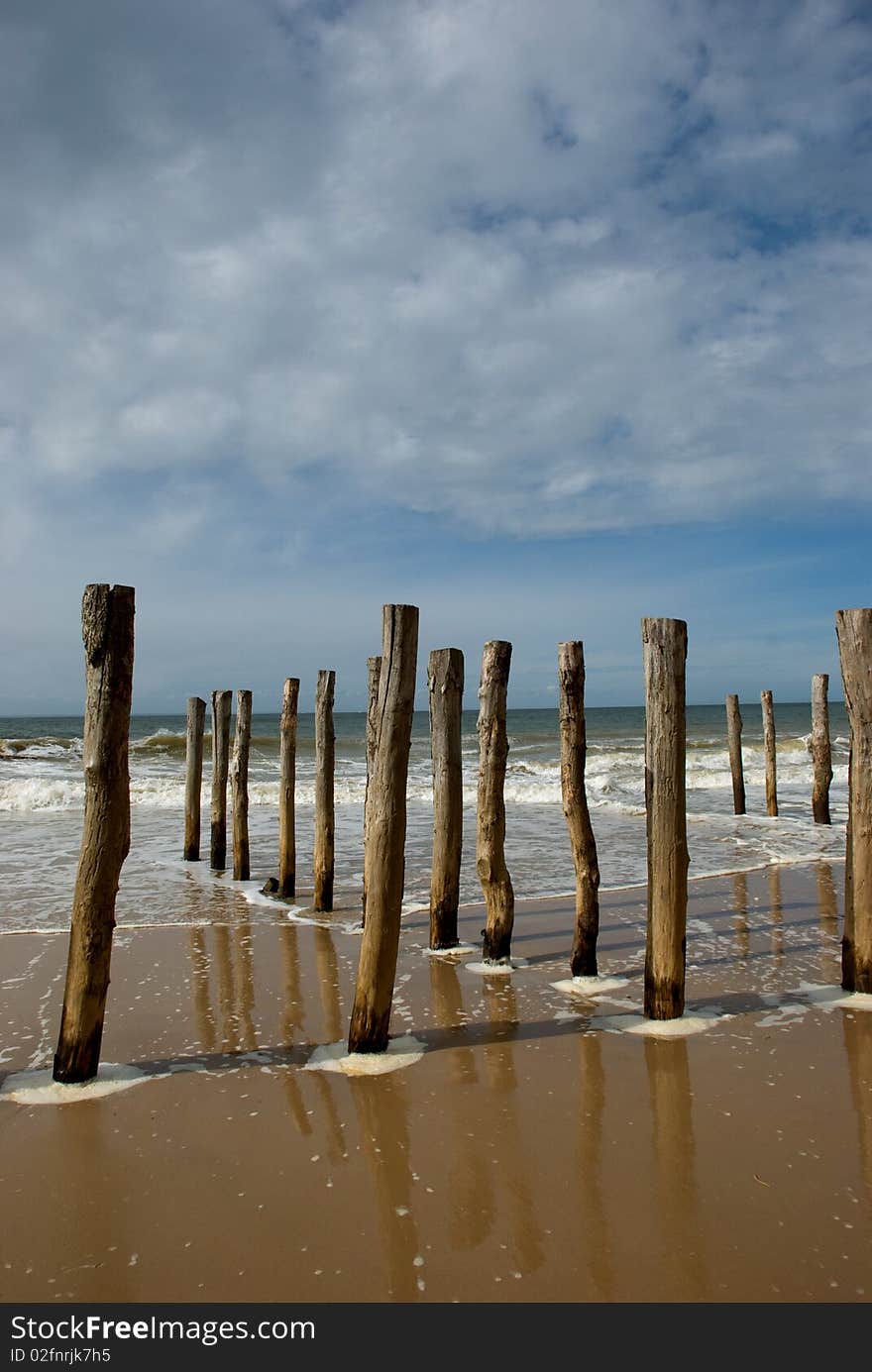 Sticks in the water in a landscape of sea. Sticks in the water in a landscape of sea