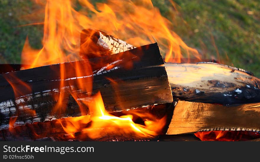 Closeup of the wood burns on fire. Closeup of the wood burns on fire