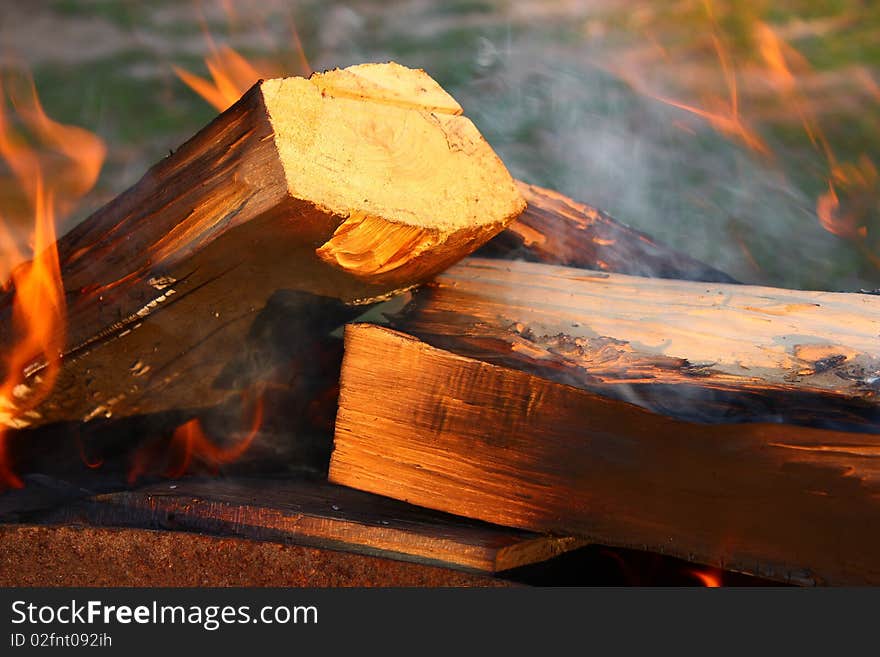 Closeup of the wood burns on fire. Closeup of the wood burns on fire