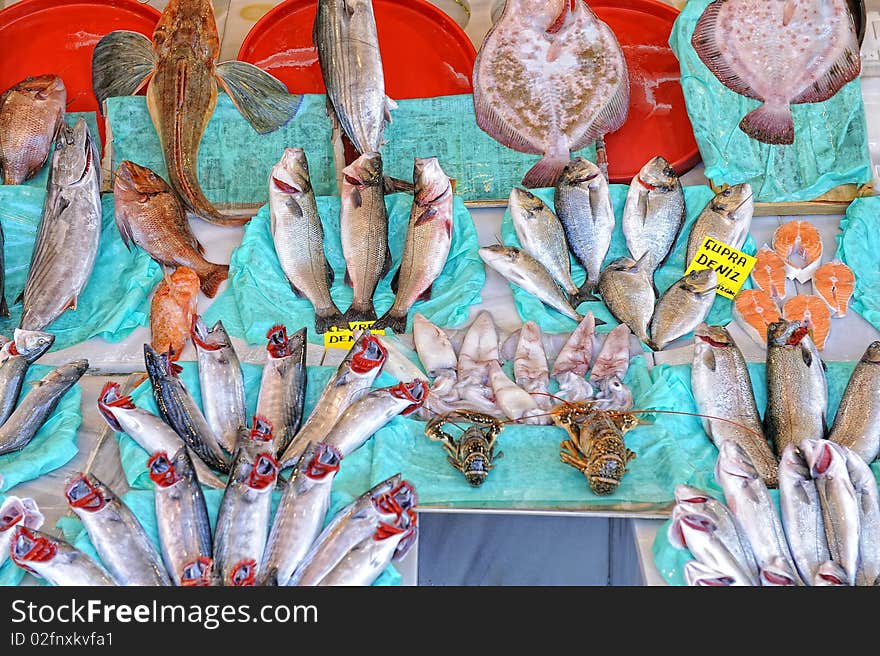 Different variety of fishes at stand