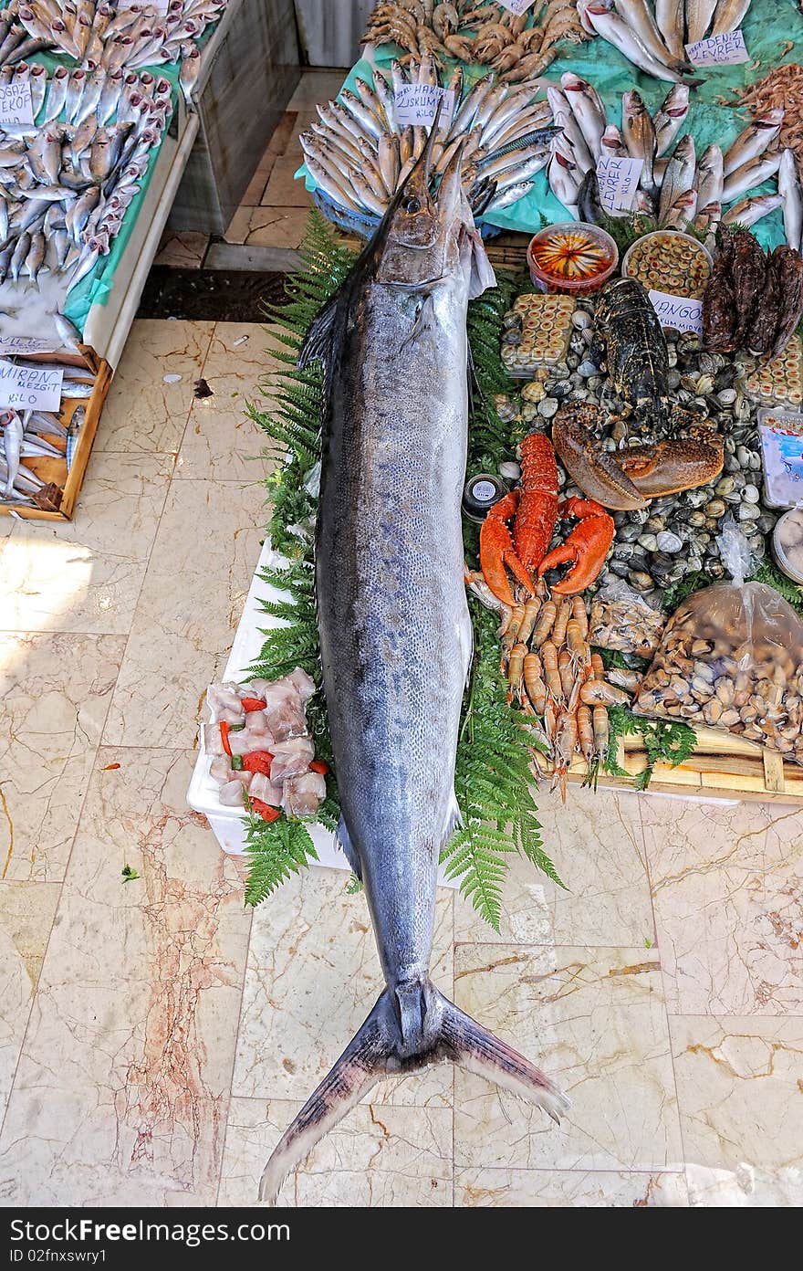 Different variety of fishes at stand