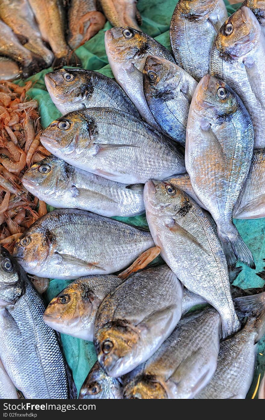 Different variety of fishes at stand