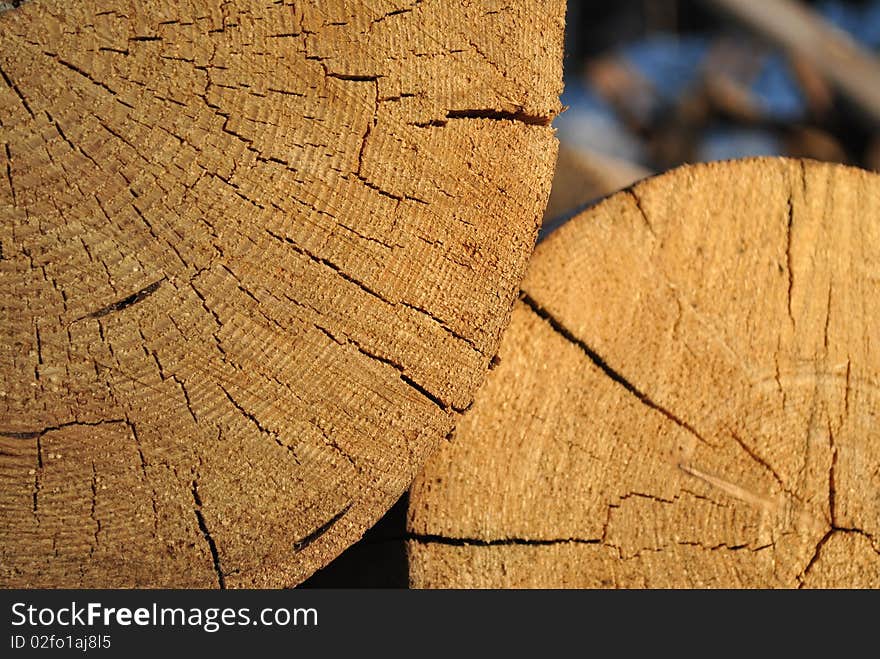 Structure of the cut tree. Structure of the cut tree