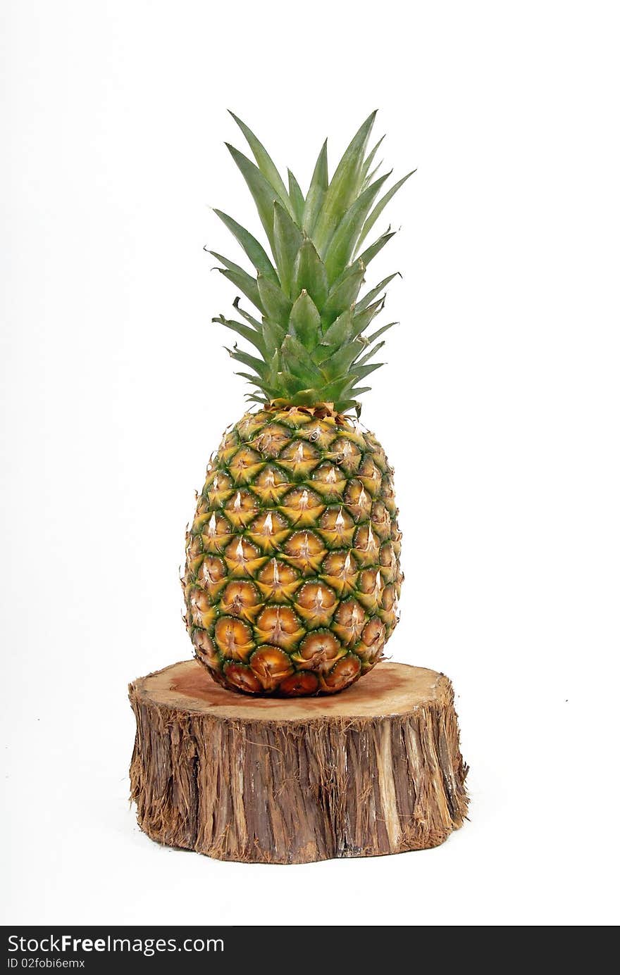 Pineapple On Tree Stump