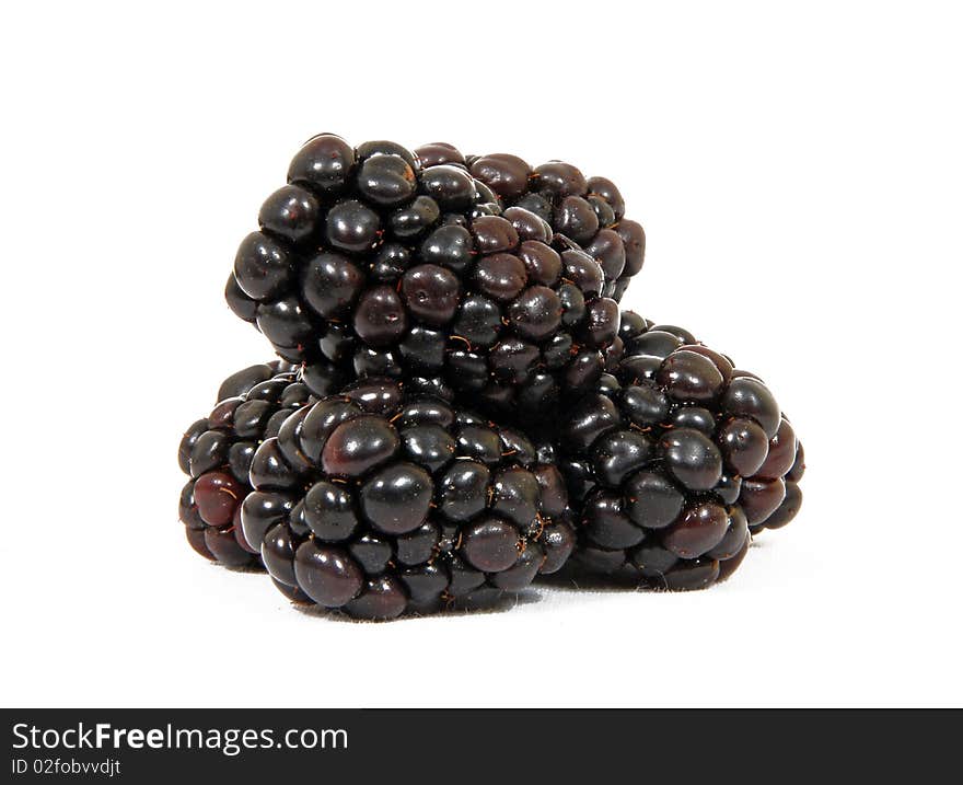 Blackberries on White Background