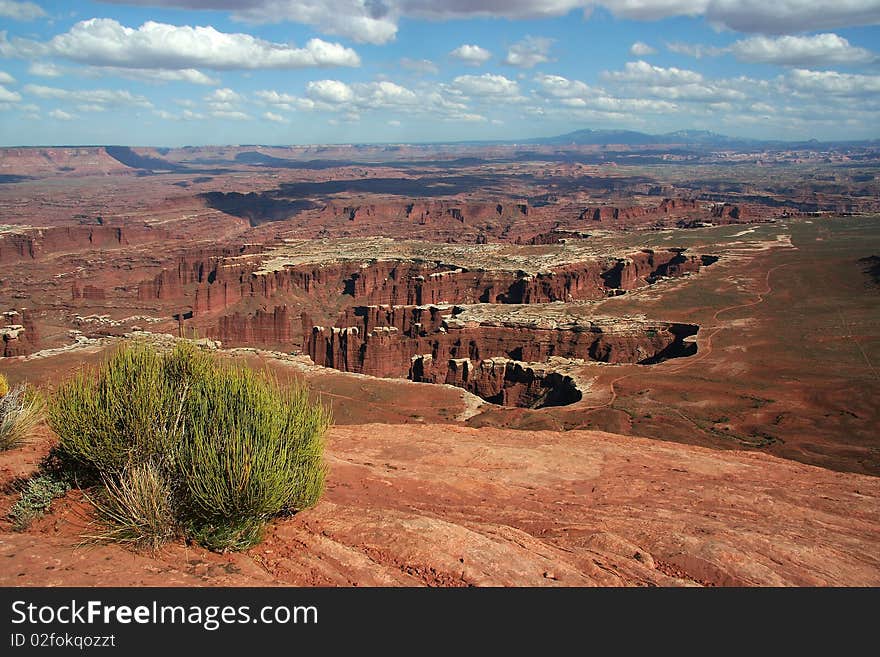 Island in the Sky Overlook