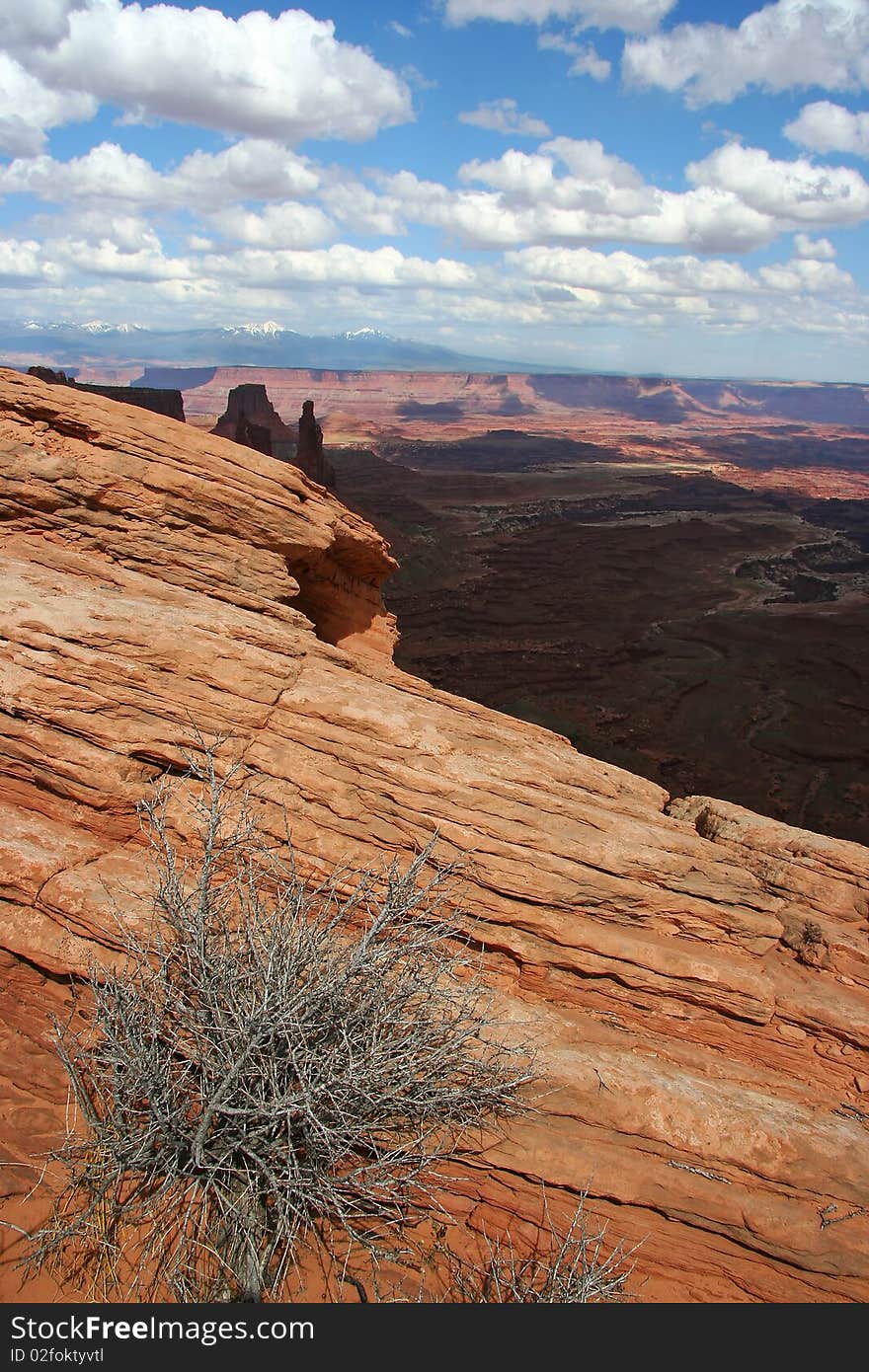 Canyonlands View