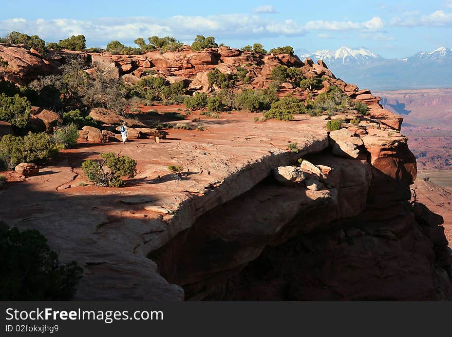 Canyonlands Cliff