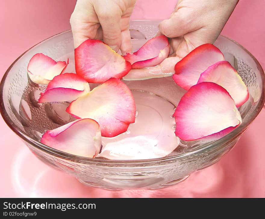 Hands in water water with rose petals spa treatment. Hands in water water with rose petals spa treatment