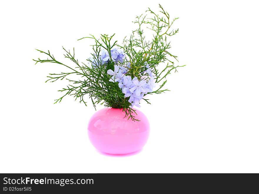 Blue tropical flowers in vase isolated on white background.