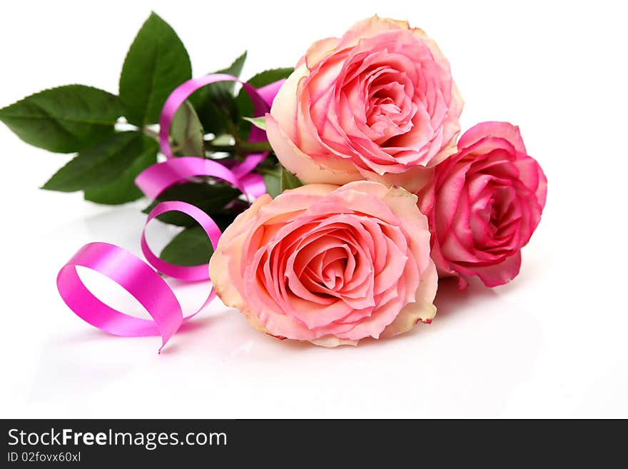 Pink Roses