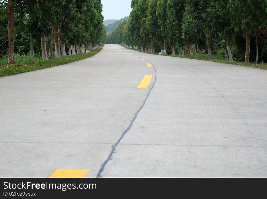 It is the road of countryside to the end, trees on side. It is the road of countryside to the end, trees on side.