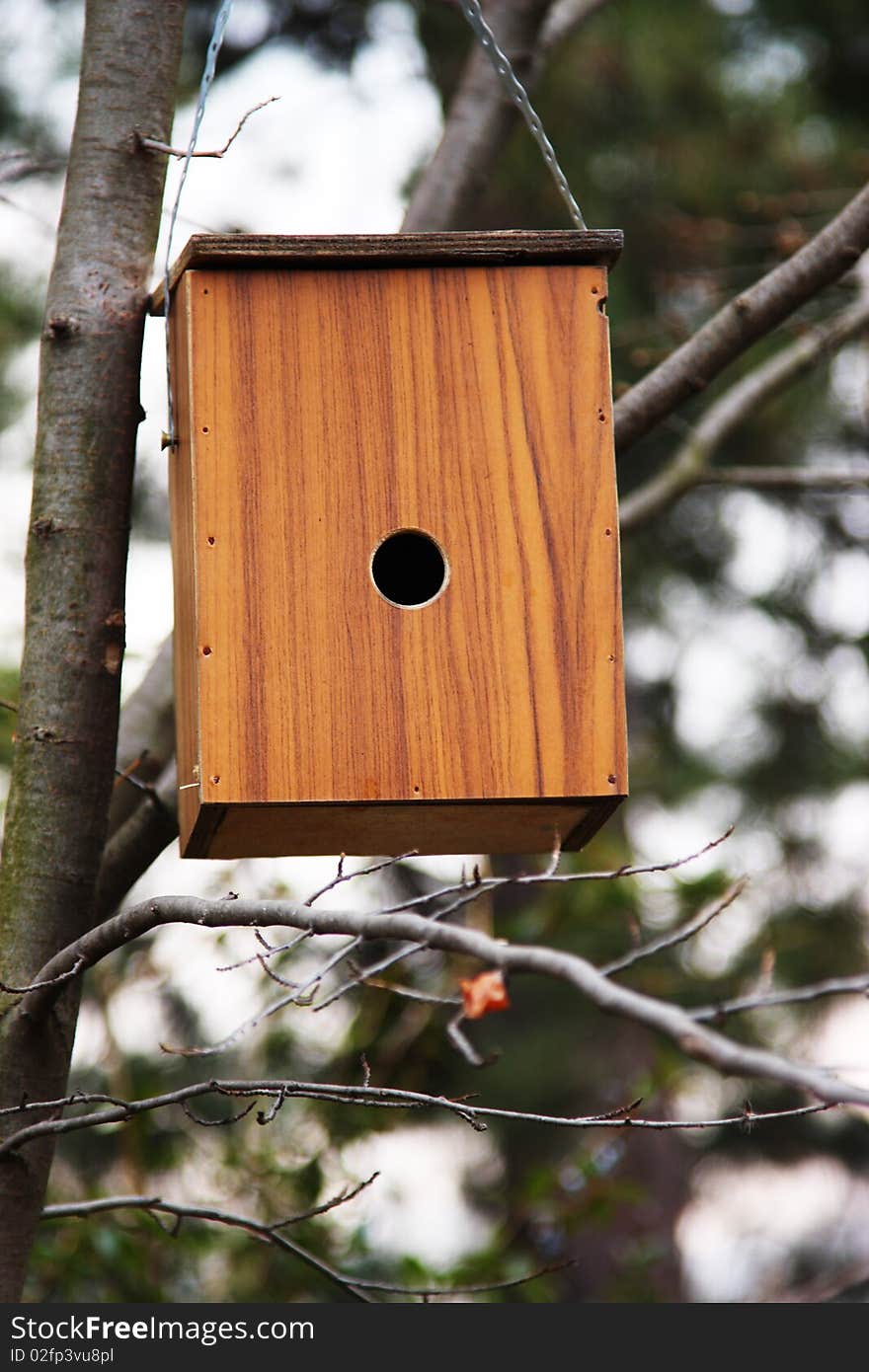 Wooden Bird House On A Branch Of A Tree