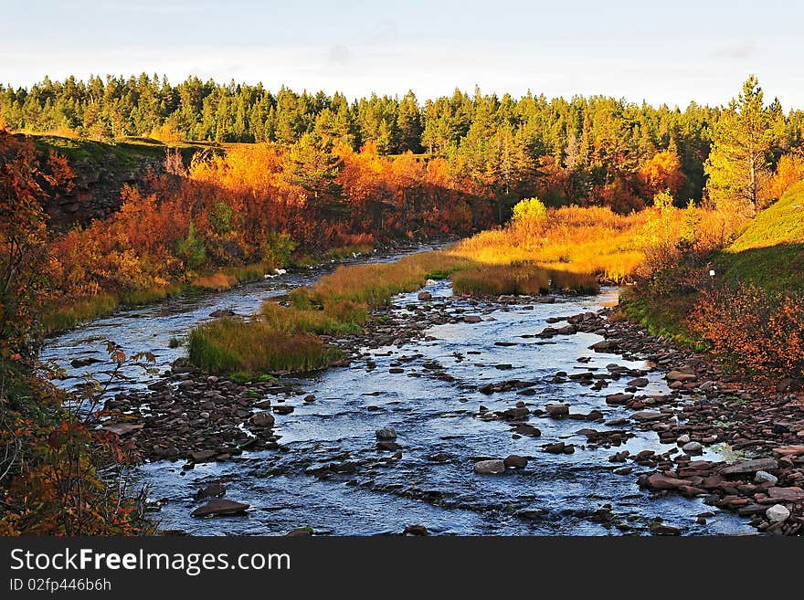 An autumn at the river 11