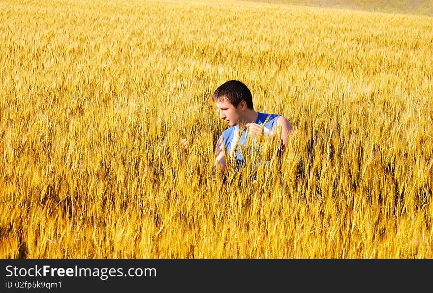 The guy examines wheat ears in an autumn field. The guy examines wheat ears in an autumn field