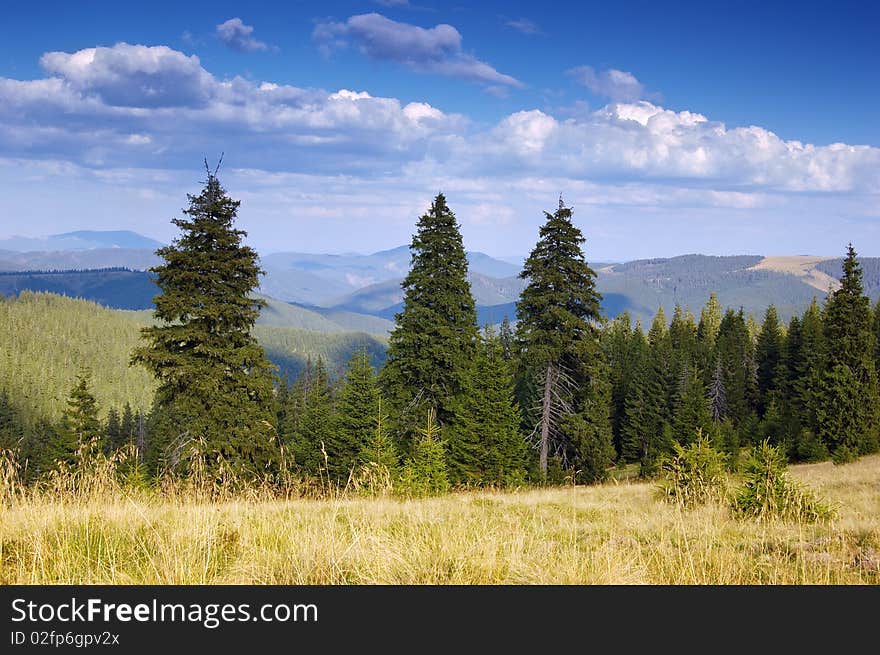 Summer landscape in mountains. A mountain valley with pines and the blue sky. Summer landscape in mountains. A mountain valley with pines and the blue sky