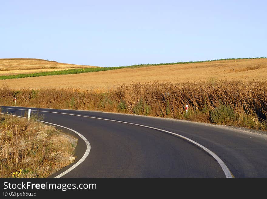 The road in field harvest time