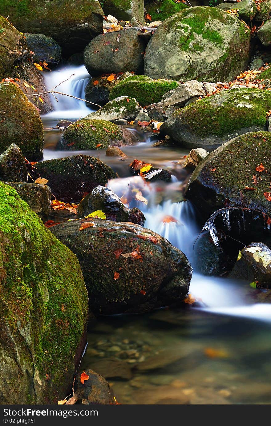 Leaves and river