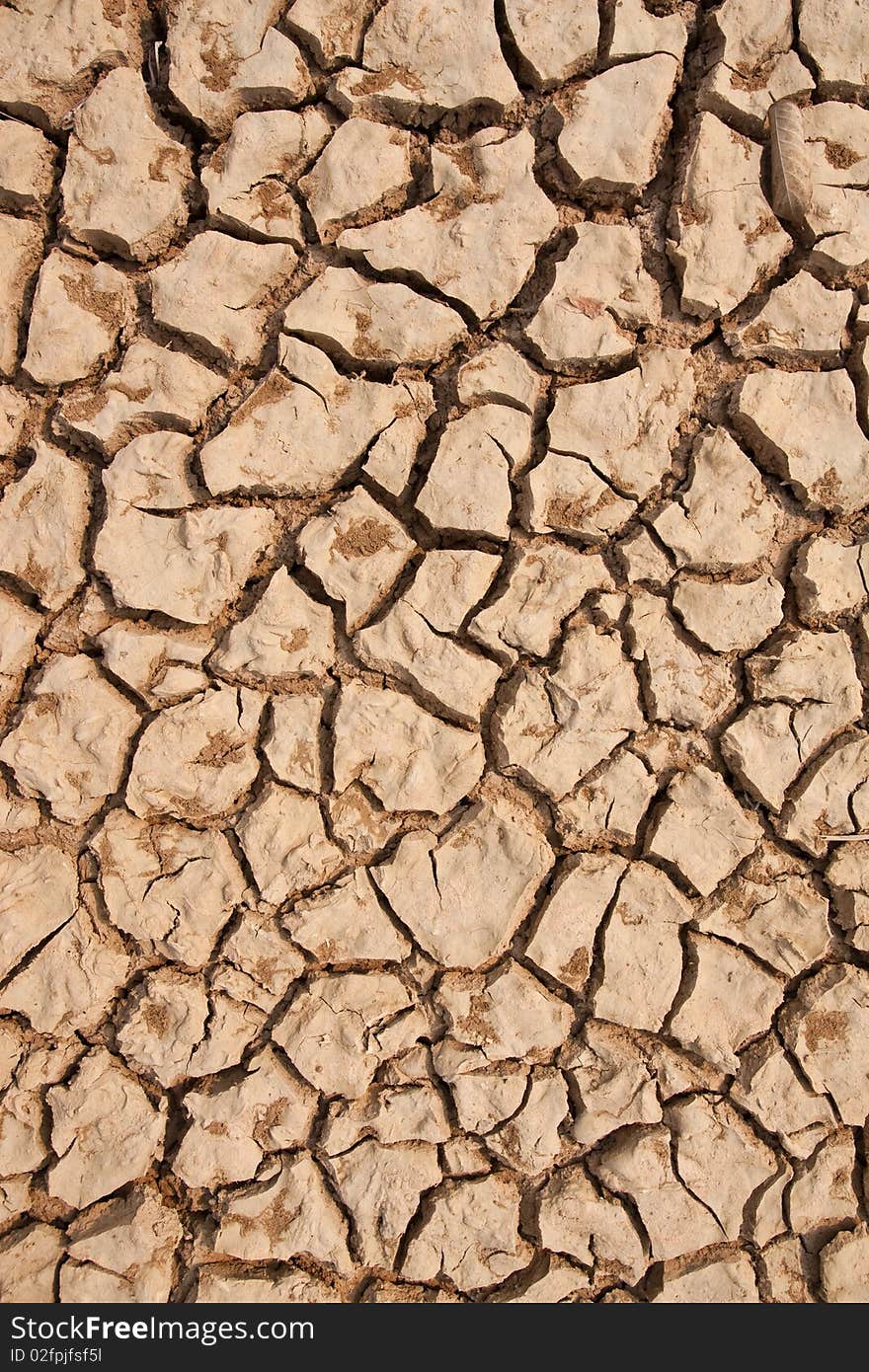 Broken soil in dry season