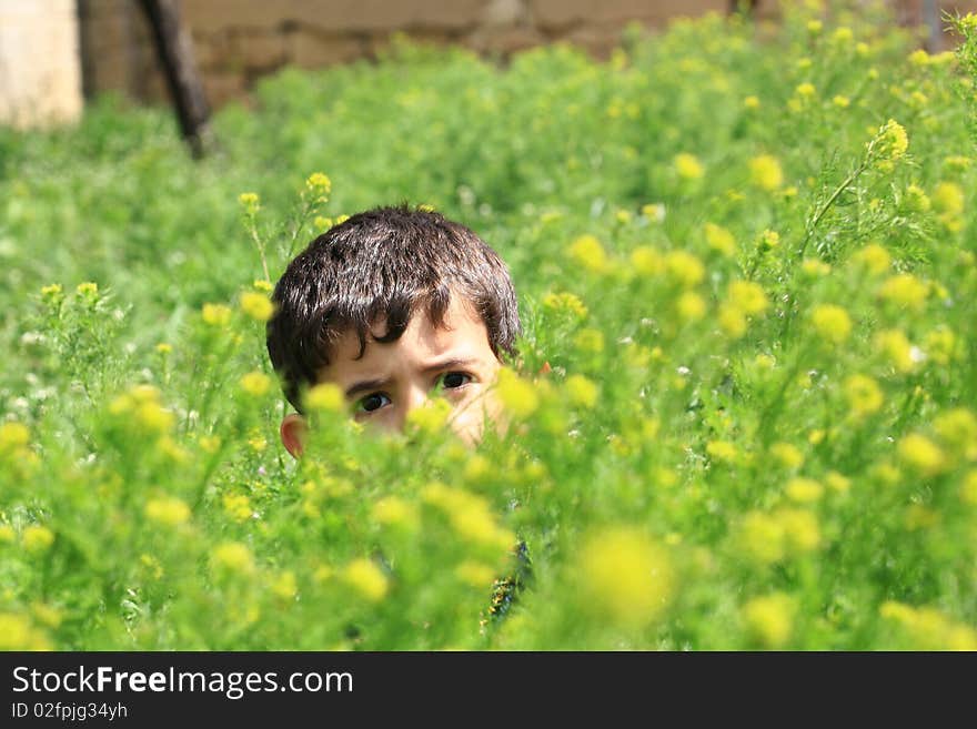 To look after a child leaves in spring. To look after a child leaves in spring