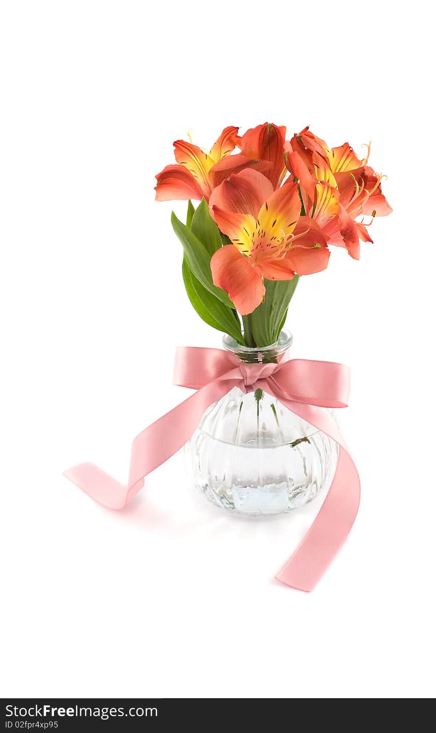 Flower in glass vase