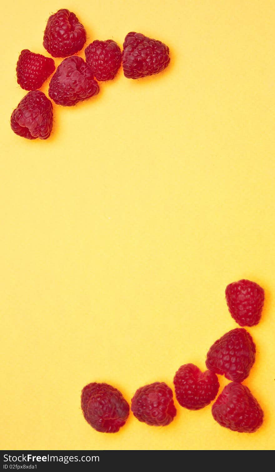 Raspberry Border On Yellow