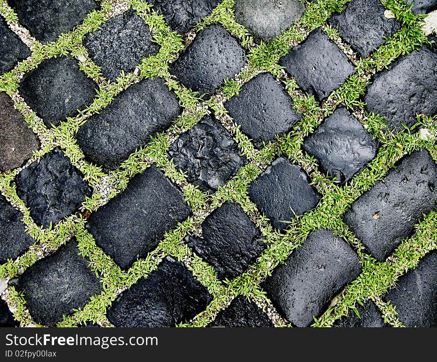 Cobble road with grass growing between cobbles