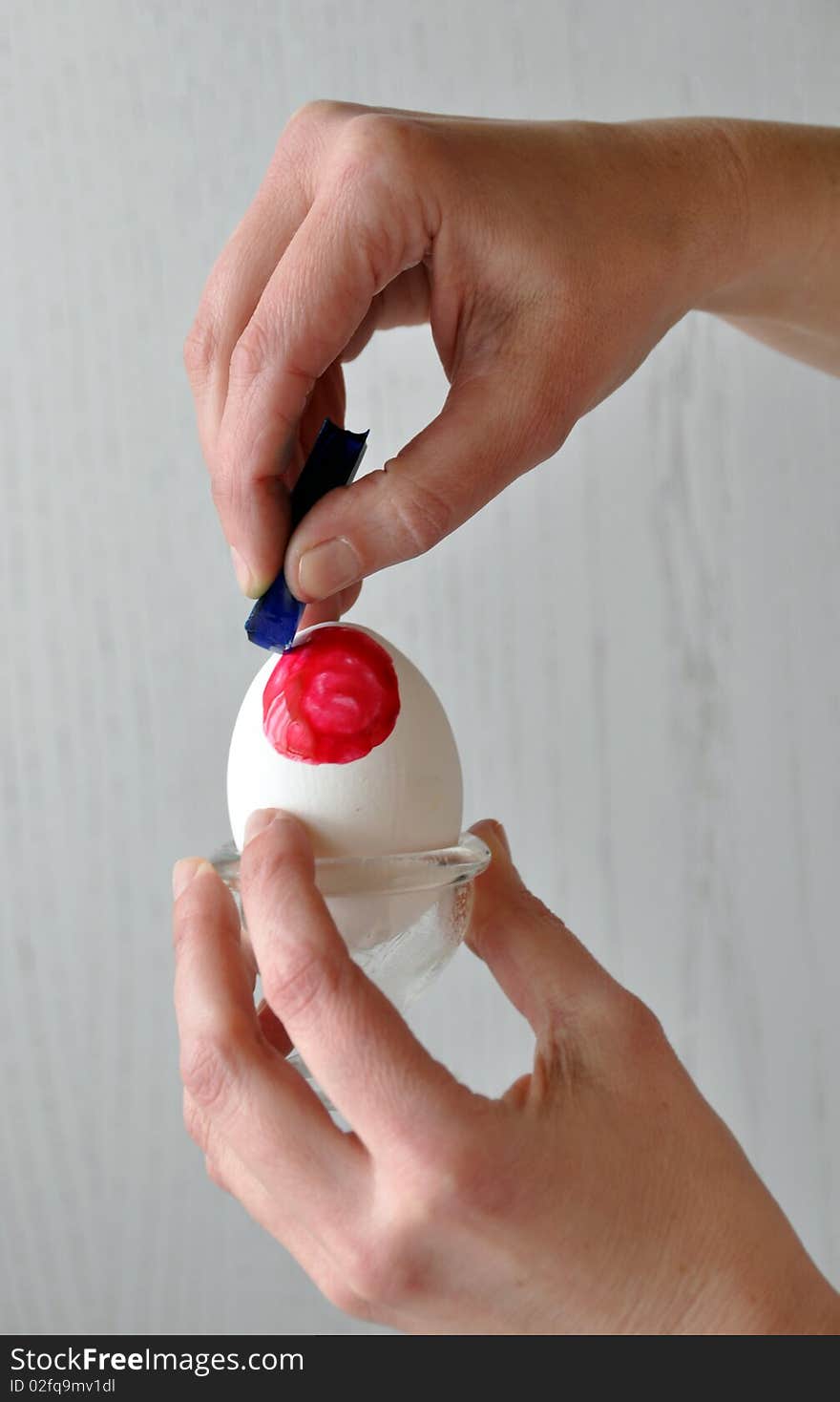 Female hands coloring an easter egg - painting a ladybug on it - behind gray. Female hands coloring an easter egg - painting a ladybug on it - behind gray