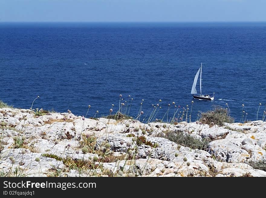 Yacht sailing along  the coast