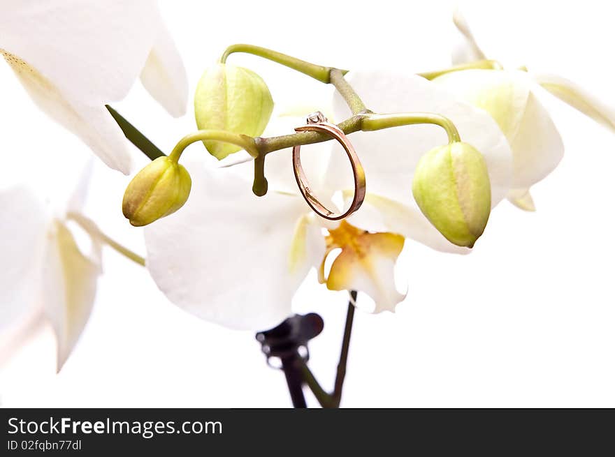 Ring and flower