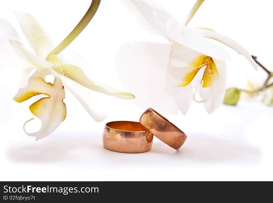 Gold rings with orchid isolated on white background