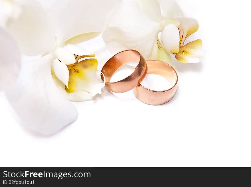 Gold rings with orchid isolated on white background. Gold rings with orchid isolated on white background