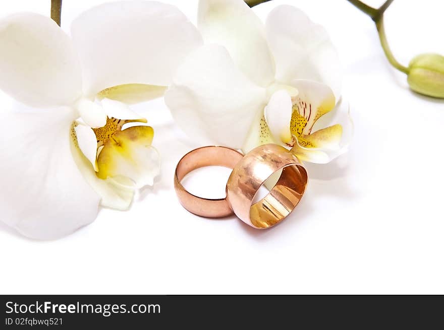 Gold rings with white orchid isolated on white background. Gold rings with white orchid isolated on white background