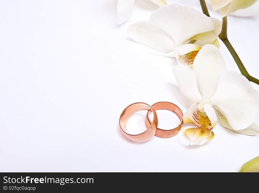 Two rings with orchid on grey background