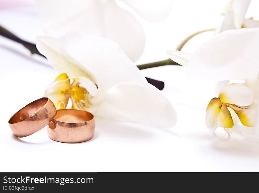 Gold rings with orchid isolated on white background