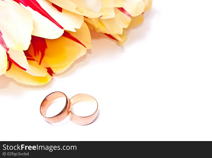 Yellow with red tulips and two wedding rings. On white. Yellow with red tulips and two wedding rings. On white