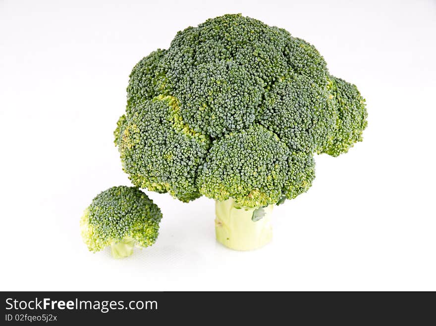 Broccoli trees on white background - small one and big one