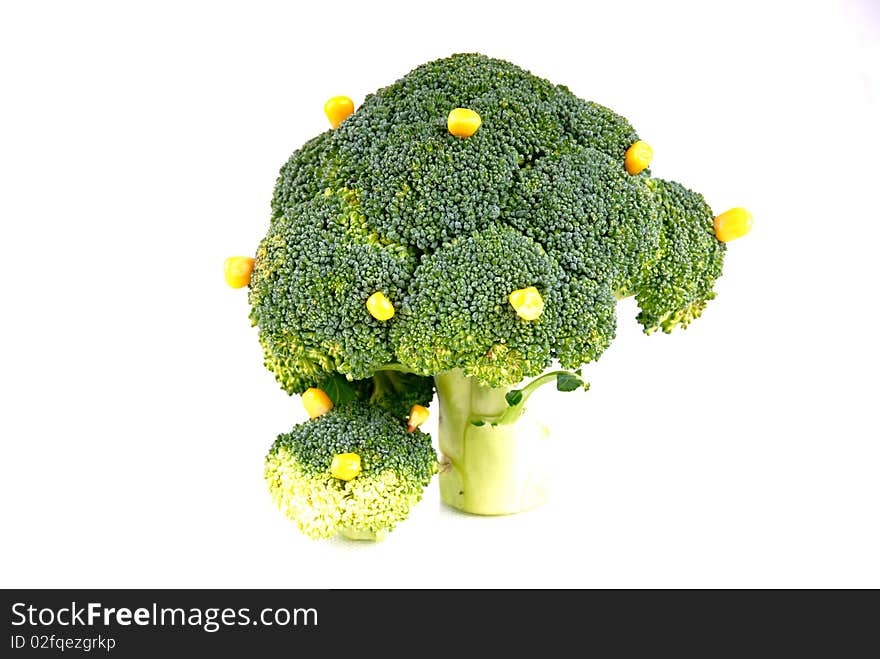 Broccoli tree with some corn fruits on white background - symbol of growth and crop