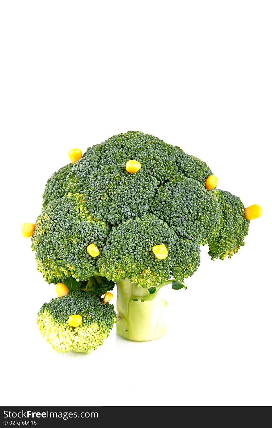 Broccoli tree with some corn fruits on white background - symbol of growth and crop