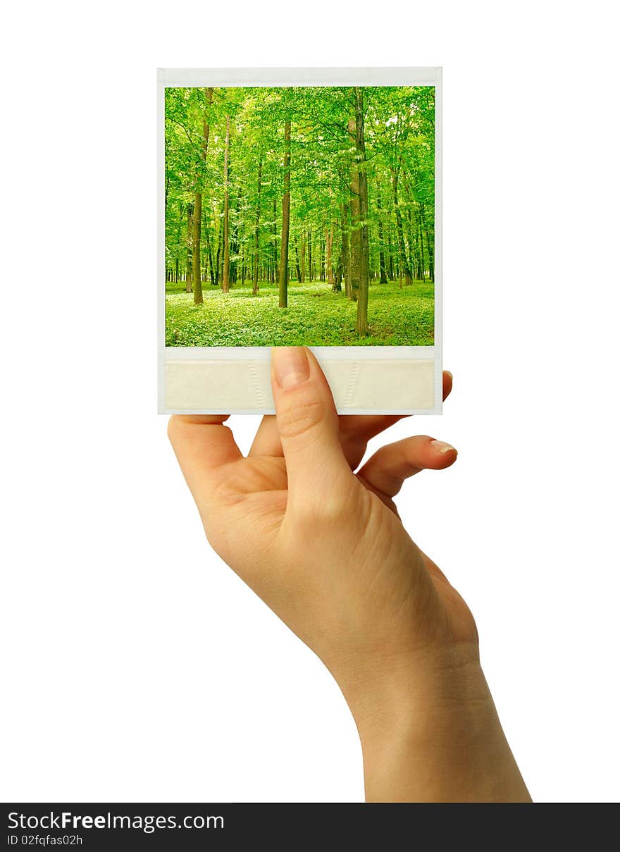 A photo card blank in a hand