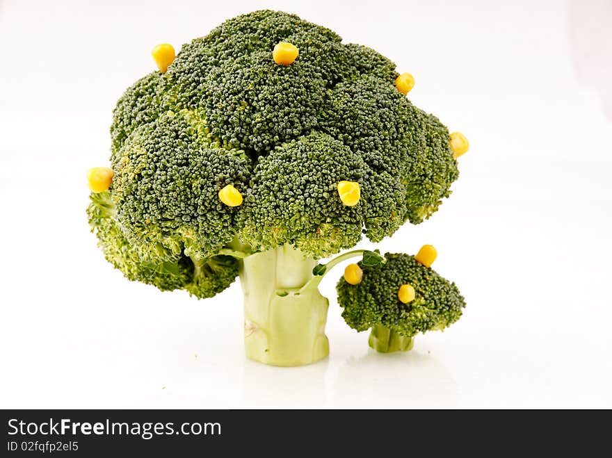 Broccoli tree with some corn fruits on white background - symbol of growth and crop