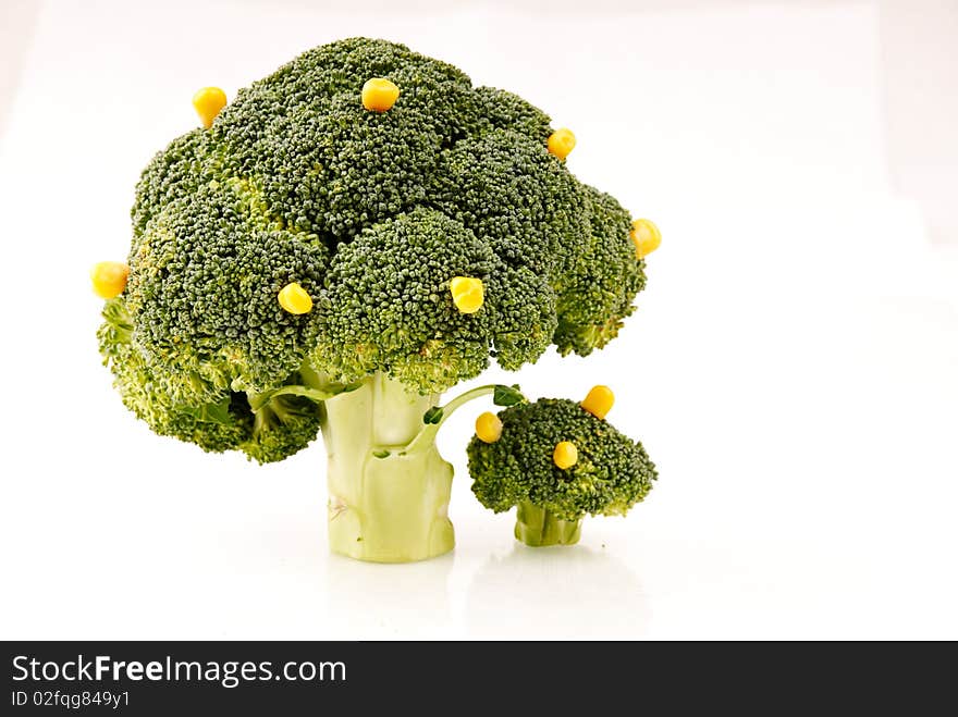 Broccoli tree with some corn fruits on white background - symbol of growth and crop