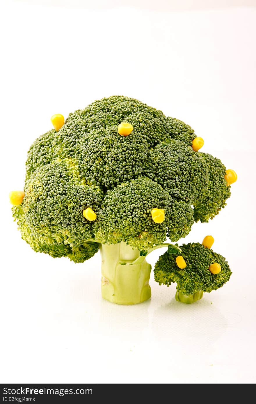 Broccoli tree with some corn fruits on white background - symbol of growth and crop